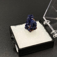 Azurite #19 Thumbnail Specimen (Kerrouchene, Morocco)