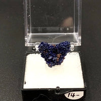 Azurite #19 Thumbnail Specimen (Kerrouchene, Morocco)