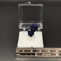 Azurite #15 Thumbnail Specimen (Kerrouchene, Morocco)