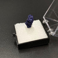 Azurite #15 Thumbnail Specimen (Kerrouchene, Morocco)