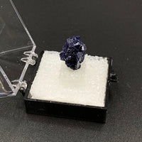 Azurite #14 Thumbnail Specimen (Kerrouchene, Morocco)