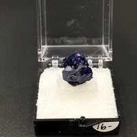 Azurite #14 Thumbnail Specimen (Kerrouchene, Morocco)