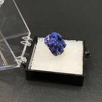 Azurite #12 Thumbnail Specimen (Kerrouchene, Morocco)