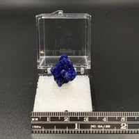 Azurite #6 Thumbnail Specimen (Kerrouchene, Morocco)