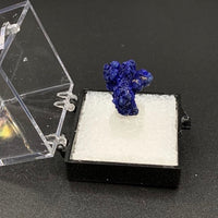Azurite #6 Thumbnail Specimen (Kerrouchene, Morocco)