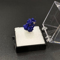 Azurite #6 Thumbnail Specimen (Kerrouchene, Morocco)