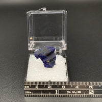 Azurite #4 Thumbnail Specimen (Kerrouchene, Morocco)
