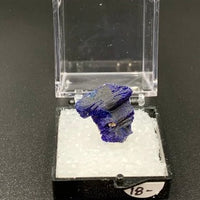 Azurite #4 Thumbnail Specimen (Kerrouchene, Morocco)