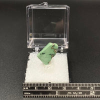 Variquoise #12 Thumbnail Specimen (Snowville, Utah, USA)