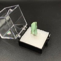 Variquoise #12 Thumbnail Specimen (Snowville, Utah, USA)