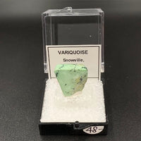 Variquoise #11 Thumbnail Specimen (Snowville, Utah, USA)