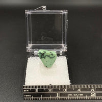 Variquoise #10 Thumbnail Specimen (Snowville, Utah, USA)
