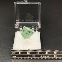 Variquoise #9 Thumbnail Specimen (Snowville, Utah, USA)