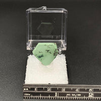 Variquoise #8 Thumbnail Specimen (Snowville, Utah, USA)