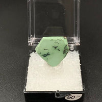 Variquoise #8 Thumbnail Specimen (Snowville, Utah, USA)