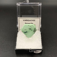 Variquoise #8 Thumbnail Specimen (Snowville, Utah, USA)
