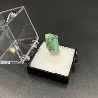 Variquoise #6 Thumbnail Specimen (Snowville, Utah, USA)