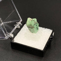 Variquoise #5 Thumbnail Specimen (Snowville, Utah, USA)