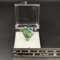 Variquoise #3 Thumbnail Specimen (Snowville, Utah, USA)
