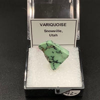 Variquoise #3 Thumbnail Specimen (Snowville, Utah, USA)