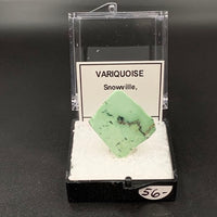 Variquoise #2 Thumbnail Specimen (Snowville, Utah, USA)