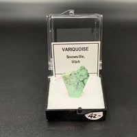 Variquoise #1 Thumbnail Specimen (Snowville, Utah, USA)