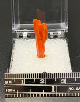 Crocoite #1 (Adelaide Mine, Tasmania)