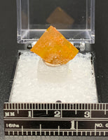 Wulfenite #7 (Los Lamentos, Mexico)