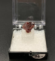 Garnet Spessartine #3 Thumbnail Specimen (Navegadora, Brazil)