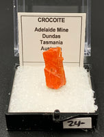 Crocoite #5 (Adelaide Mine, Tasmania)