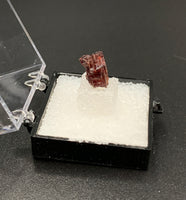 Garnet Spessartine #8 Thumbnail Specimen (Navegadora, Brazil)