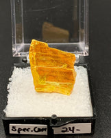 Orpiment #1 Special Care Thumbnail Specimen (Senduchen, Russia)