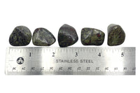 Dragon Blood Jasper (1) Tumbled Stone