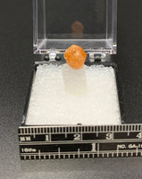 Garnet Spessartine #12 Thumbnail Specimen (Tanzania)