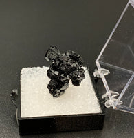 Schorl #6 Black Tourmaline Thumbnail Specimen (Karibib, Erongo, Namibia)