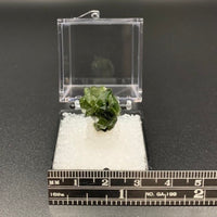 Garnet #4 (Grossular) Thumbnail Specimen (Brazil)