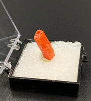 Crocoite #5 (Adelaide Mine, Tasmania)