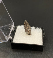 Astrophyllite #1 Thumbnail Specimen (Khibiny Massif, Russia)