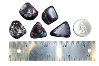 Eudialyte (1) A Grade Tumbled Stone