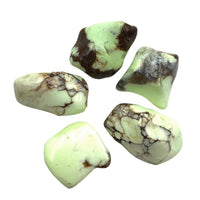 Lemon Chrysoprase (1) Tumbled Stone
