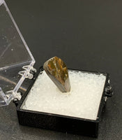 Ammolite #4 Fossil Thumbnail Specimen (Alberta, Canada)