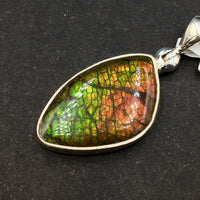 Ammolite Rainbow Fire Fossil Slice Sterling Silver Pendant