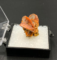 Wulfenite #1 (Jianshan, China)