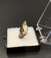 Astrophyllite #4 Thumbnail Specimen (Khibiny Massif, Russia)