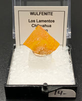 Wulfenite #7 (Los Lamentos, Mexico)