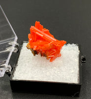 Crocoite #8 (Adelaide Mine, Tasmania)