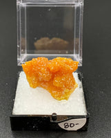 Pyromorphite #7 Thumbnail Specimen (Bunker Hill Mine, Shoshone Co., Idaho)