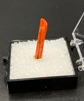 Crocoite #1 (Adelaide Mine, Tasmania)