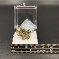 Fluorite #8 Thumbnail Specimen (Yaogangxian Mine, China)