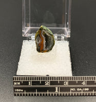 Tabasco Geode #1 Thumbnail Specimen (Tabasco, Mexico)